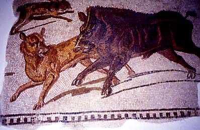BARDO 00 (4).JPG